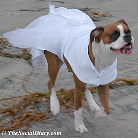 kima running in bridal gown